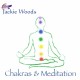 Chakras and Meditation Massage CE Course